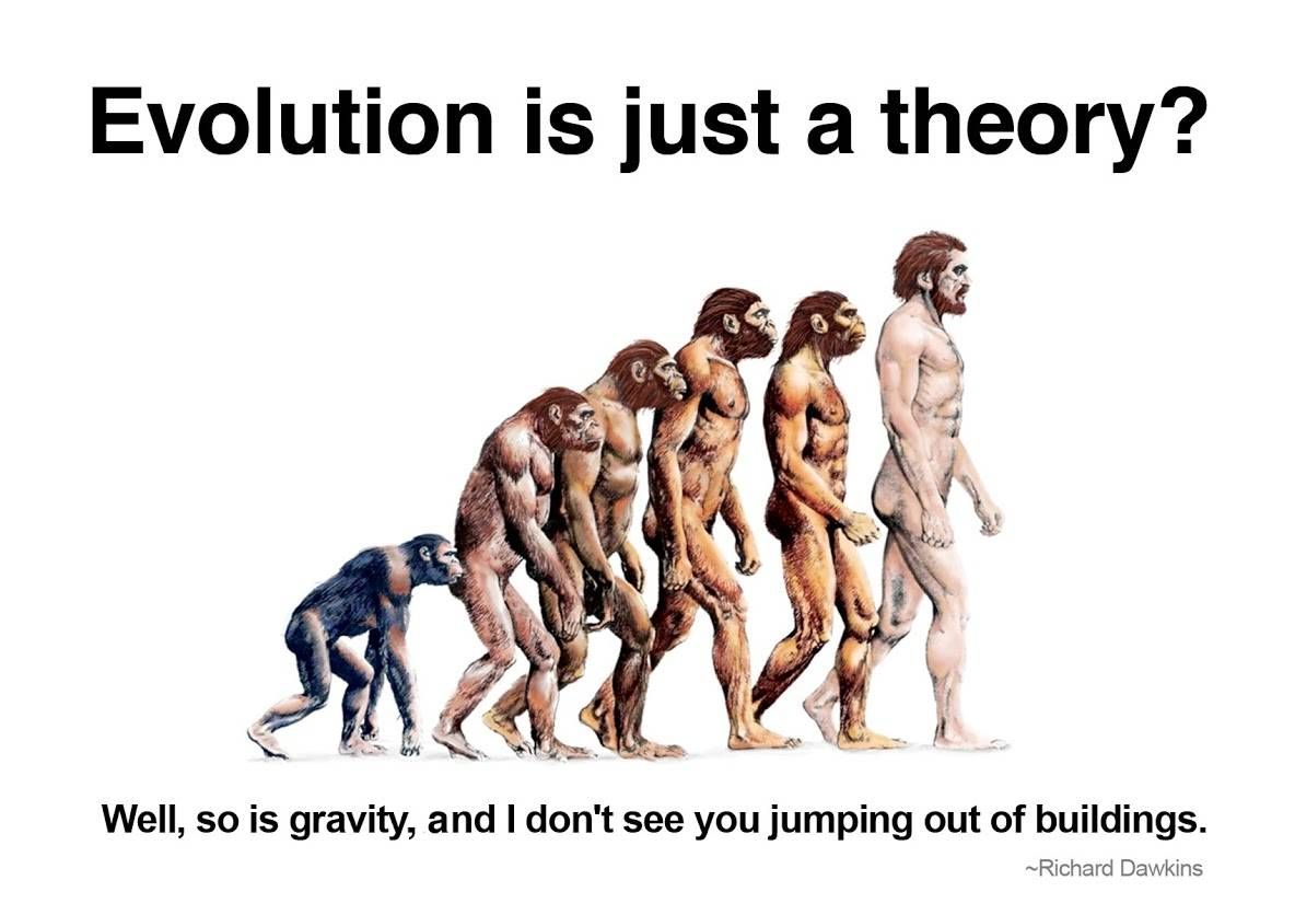 Evolving  Why Is Evolution Controversial Anyway